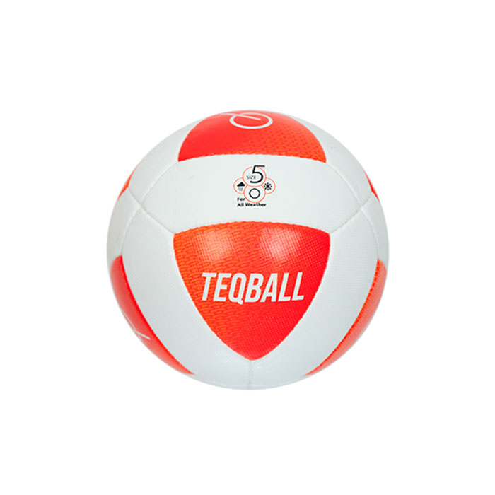 Официальный футбольный мяч  TEQBALL