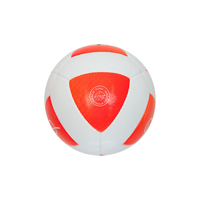 Официальный футбольный мяч  TEQBALL