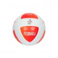 Официальный футбольный мяч  TEQBALL