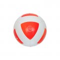 Официальный футбольный мяч  TEQBALL