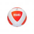 Официальный футбольный мяч  TEQBALL